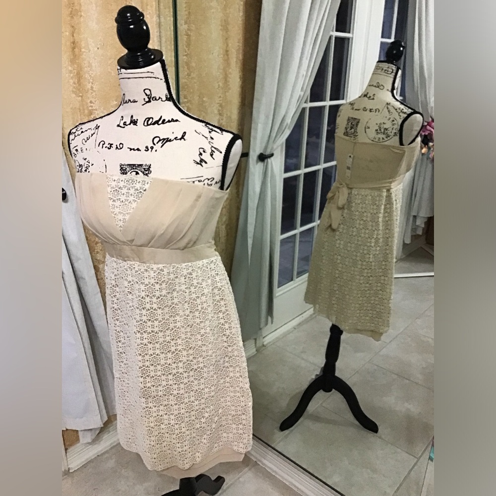 intimissimi Strapless Lace Cocktail Dress in Cream